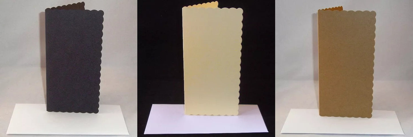 DL Coloured Greeting Card Blanks & Envelopes (SCALLOPED EDGE)