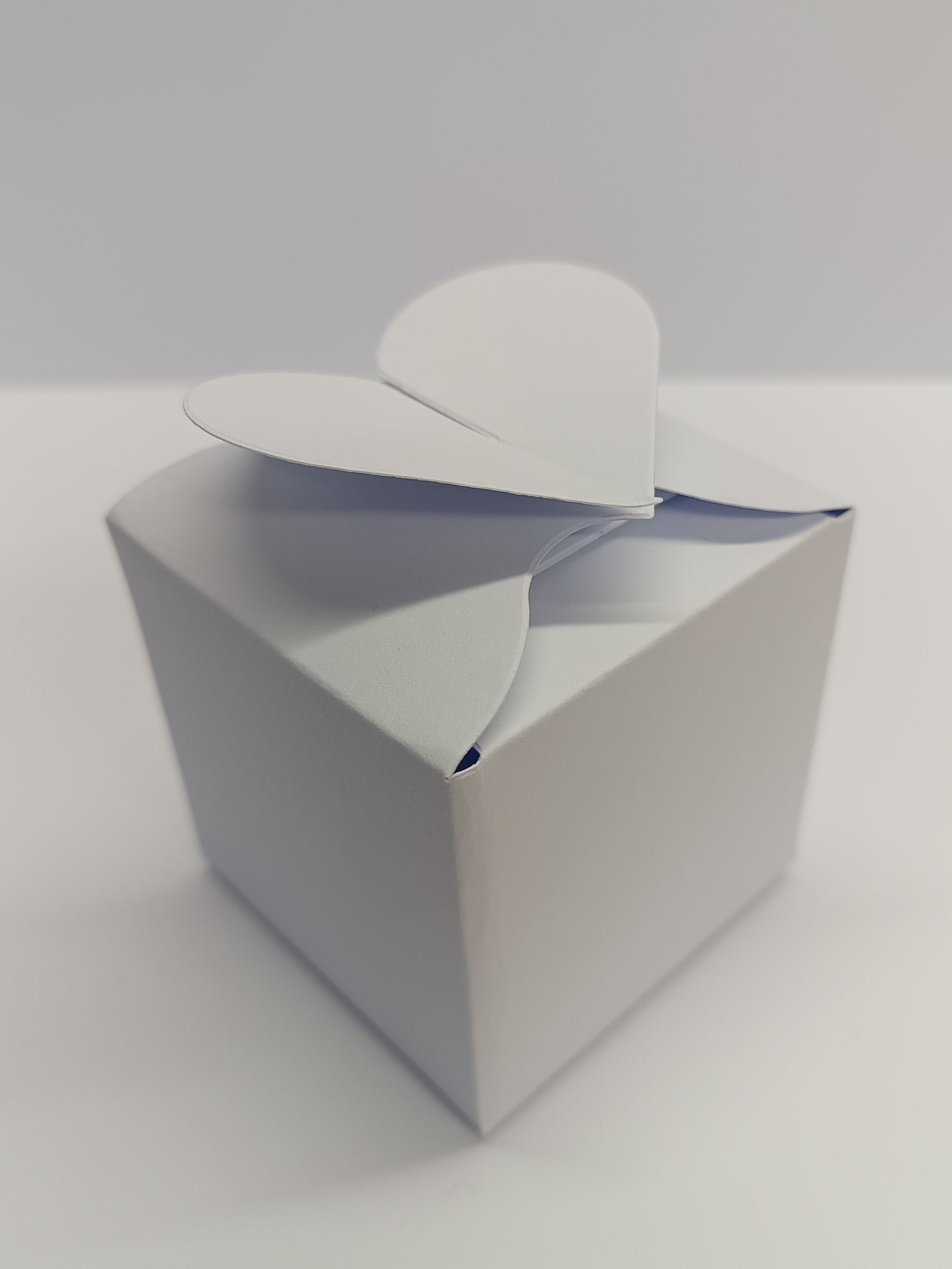 Luxury White Gift Favour Boxes For Weddings - Parties