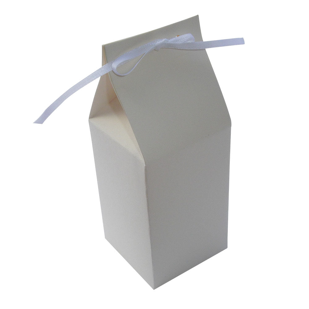 Vintage Milk Carton Style Favour Boxes