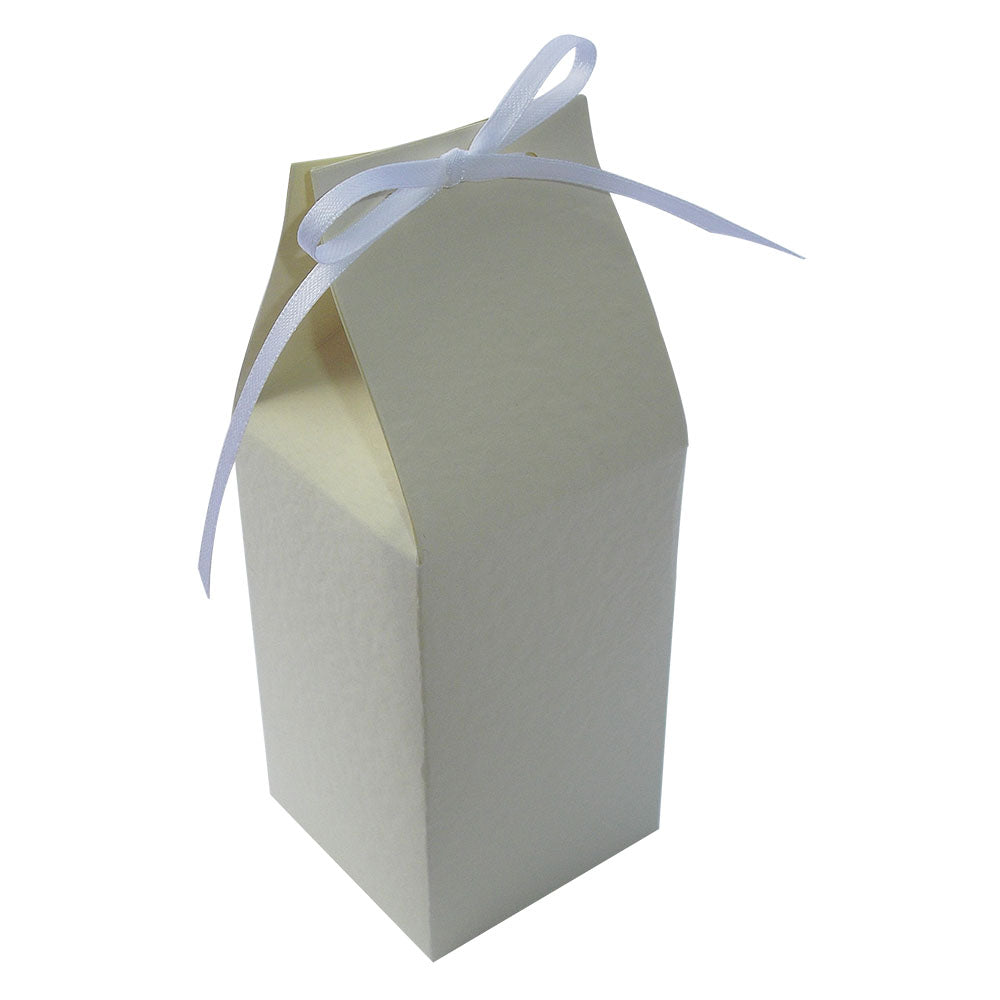 Vintage Milk Carton Style Favour Boxes