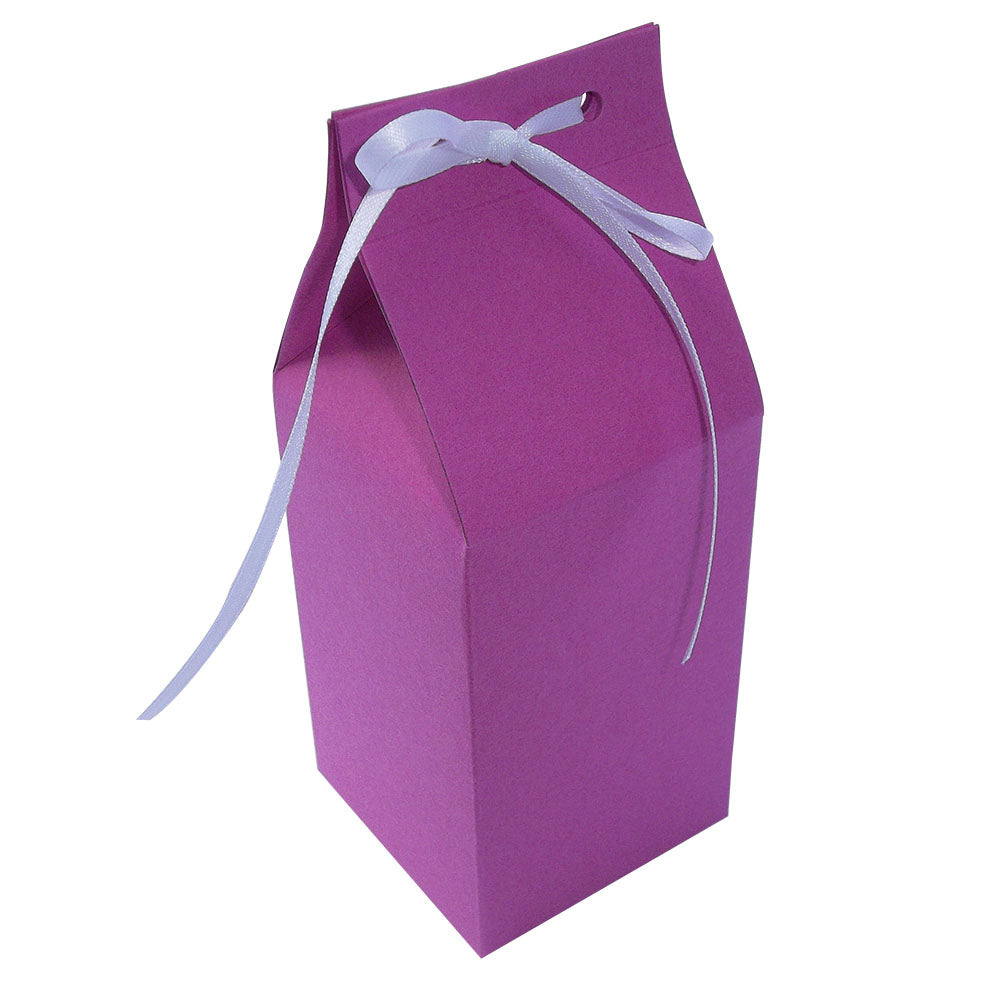 Vintage Milk Carton Style Favour Boxes