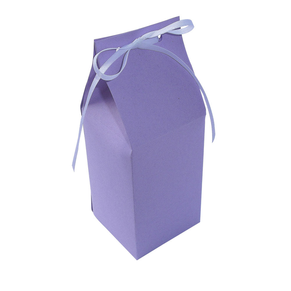 Vintage Milk Carton Style Favour Boxes